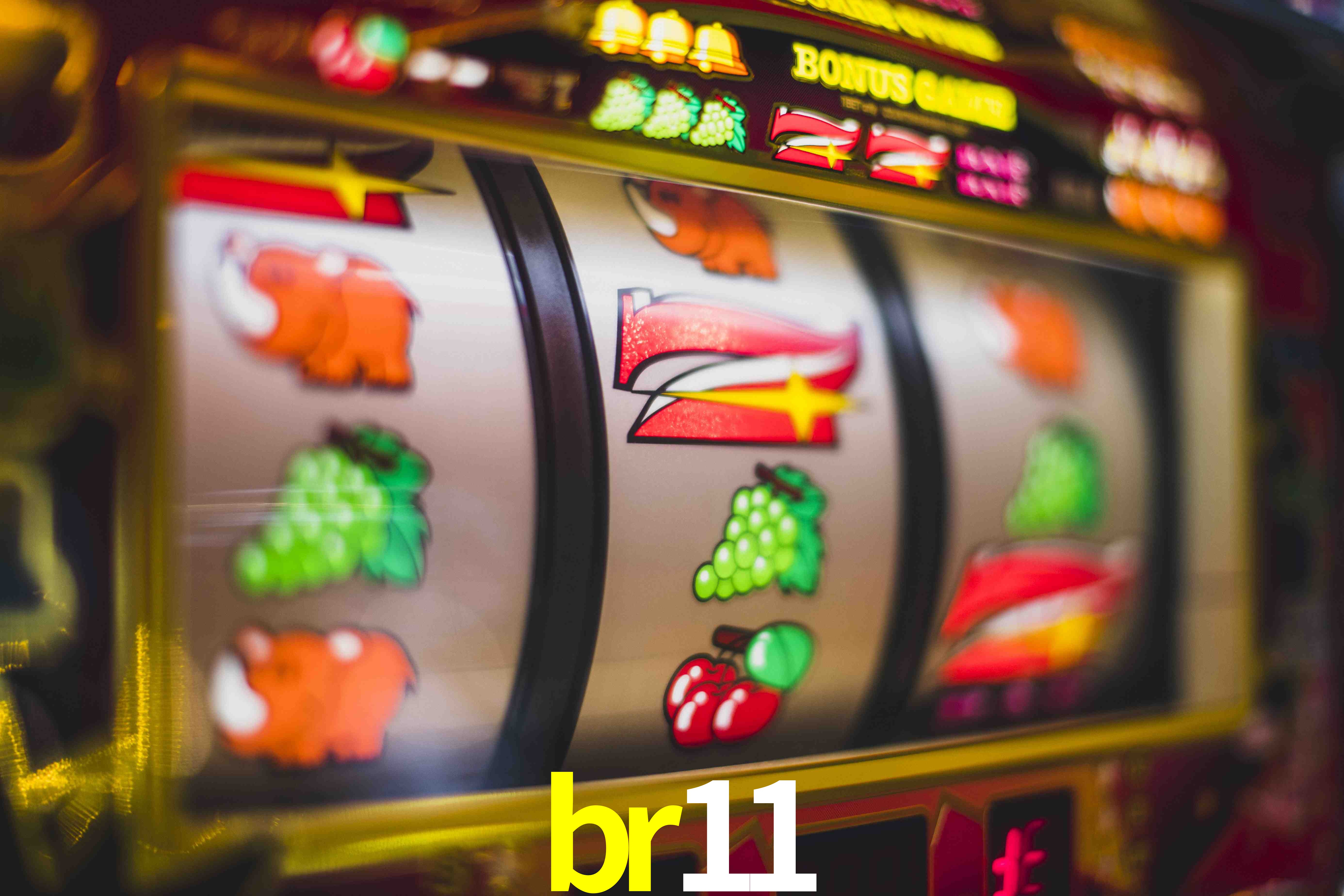VIP Casino br11